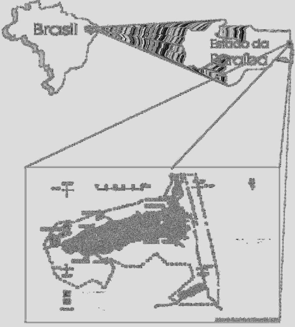 integram a APA da Barra do Rio Mamanguape são os mesmos que existem na zona costeira do Estado da Paraíba e incluem as Planícies Costeiras e as Planícies Aluviais, que ocupam os terraços mais baixos,