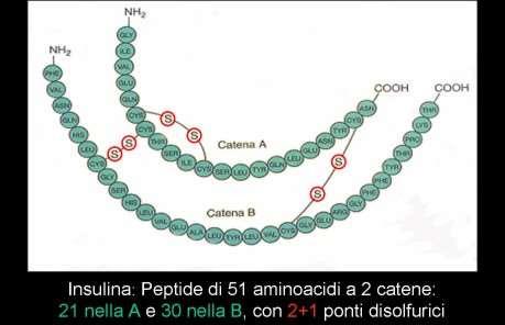 E o que é a insulina?