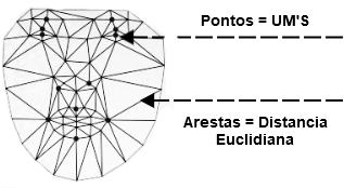 contorno da face), esta detecção foi feita através da utilização de classificadores desenvolvidos com auxílio do classificador em cascata proposto por [Viola and Jones 2004].