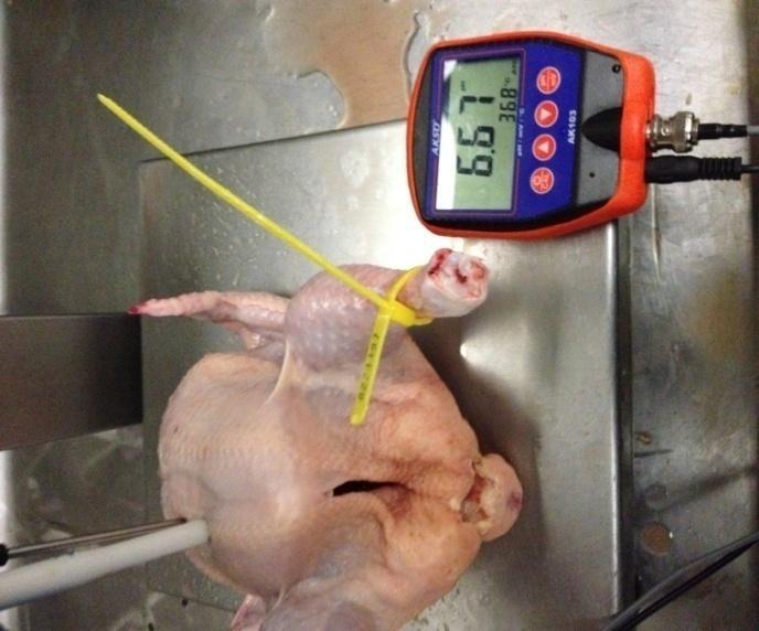 23 Para as medições de temperatura e umidade foram utilizados os dados coletados em O Termohigrômetro Digital 1566-1, com aferição INMETRO, da área de descanso dos frangos no matadouro.