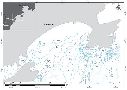 O segmento de litoral possui baixo aporte sedimentar continental, plataforma continental estreita e alta energia de ondas (ALBINO e OLIVEIRA, 2001).