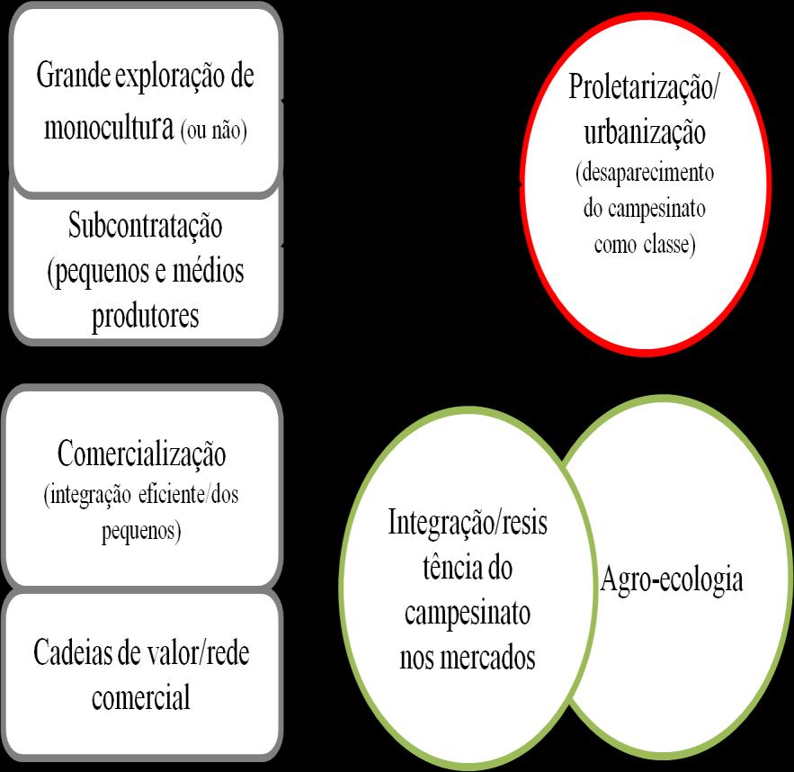 Opções e não-opções em Moçambique. Conflitualidades irreconciliáveis?