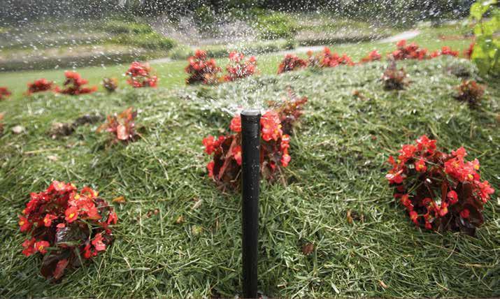 Aspersores Sprays Série XPCN Aspersores Sprays Bocais Rain Bird Série XPCN Uma solução inteligente para pequenos espaços Irrigar áreas pequenas em Projetos de paisagismo complexos pode ser um grande