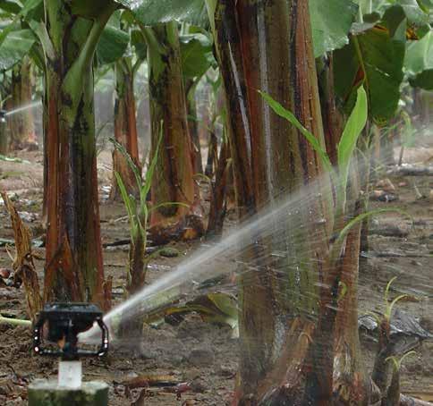 Alguns métodos de irrigação não distribuem a água uniformemente e algumas áreas recebem mais água que o necessário para que as áreas menos favorecidas tenham a lâmina suficiente.
