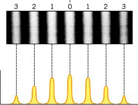 Rede de difração QUANTUM BIOHOLOGRAPHY