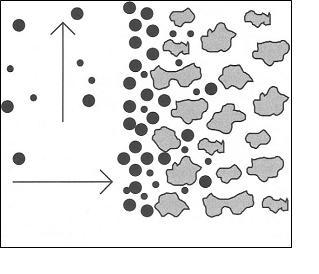Fluxo Vertical Fluxo Lateral Reboco Formação Rochosa Figura 2.21 Processo de desidratação de fluidos. O primeiro agente controlador de filtrado para pastas de cimento foi a bentonita (NELSON, 1990).