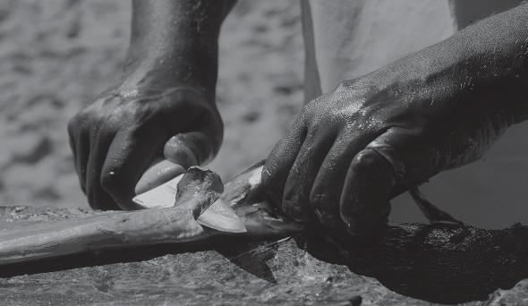 Pescador limpando peixe na praia para vender.