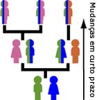 genética. Através do processo de descendência com modificação, o ancestral comum da vida na Terra deu origem a fantástica diversidade que vemos documentadas nos registros fósseis e a nossa volta hoje.