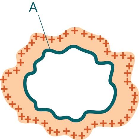 Eletomagnetismo» As leis da Eletostática: A lei de Gauss 3 E ds Q = S ε ( 8 ) ou seja, o fluxo do campo elético atavés de uma supefície S é igual, com exceção de uma constante de popocionalidade, à