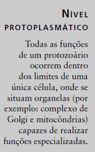 Habitat PROTOZOÁRIOS Variado Presentes em água doce, salgada e solo úmido;