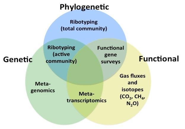 The multidimensional approach for microbial diversity