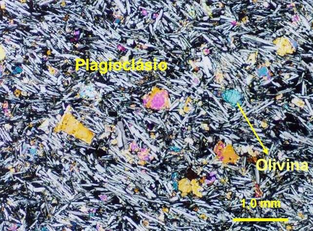Figura 2.43: Fotomicrografia mostrando grãos de olivina e plagioclásio em basalto alcalino (nicóis cruzados).