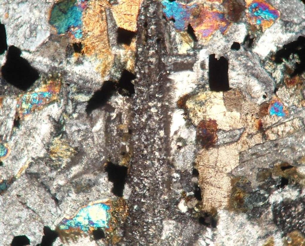 euédrica a subédrica e possuem hábito colunar (ripforme). Traquitóide, poiquilítica, subofítica, esferulítica e mirmequítica são texturas encontradas nestas amostras envolvendo este mineral.