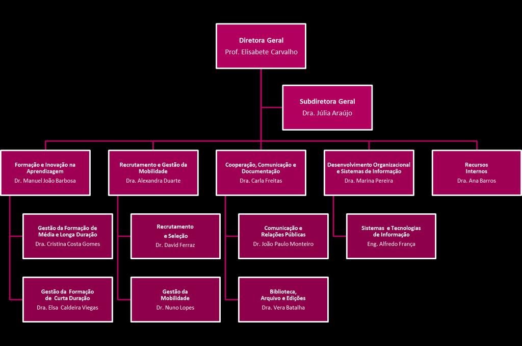 c. Estrutura Interna e Organograma Assentando a sua estrutura interna num modelo de estrutura hierarquizada, o INA dispõe de cinco