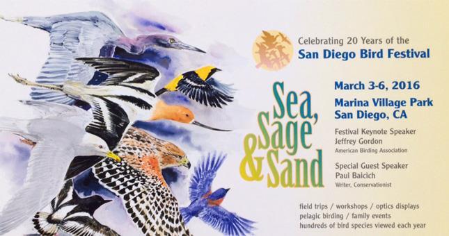 1 SAN DIEGO BIRD FESTIVAL 2016 ESTADOS UNIDAS DA AMÉRICA Decorreu entre os dias 3 e 6 de março mais um importante evento Norte-Americano no âmbito do produto Birdwatching o San Diego Bird Festival