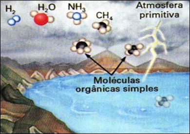 Biologia Método Científico, História e Experimentação Prof. Enrico Blota As chuvas lavavam as rochas e conduziam as proteínas para os mares.