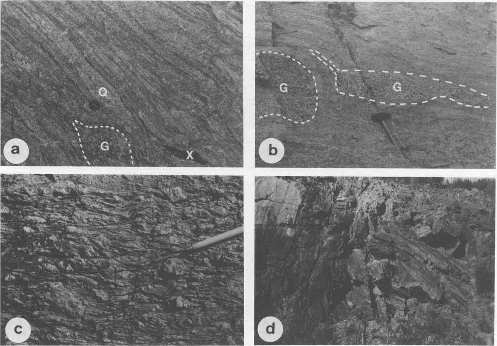 Revista Brasileira de Geociências, volume 25, 1995 361 Figura 6 - Principais estruturas registradas nas rochas do Complexo Gnáissico Piratini incluem o bandamento composicional (a) marcado por bandas