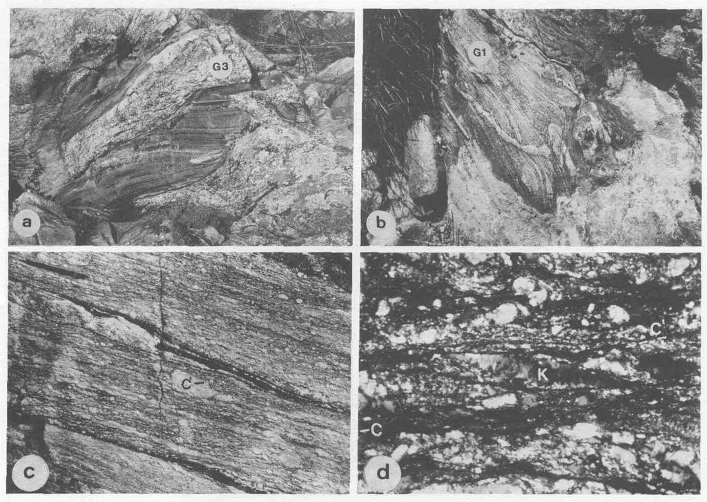 Revista Brasileira de Geociências, volume 25, 1995 359 Figura 4 - Estruturas típicas dos litodemas mais antigos da Associação de Arco Magmático I na região de Encruzilhada do Sul mostram o granitóide