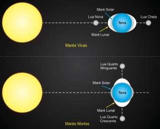 Mas o efeito de cada um depende da intensidade da força de atração dele o sol e da lua sobre o nosso planeta.