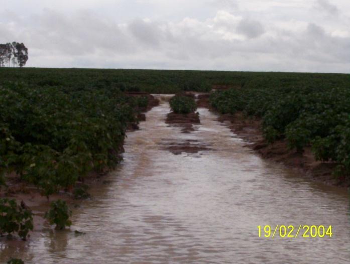 Efeitos da chuva sobre o solo em Plantio