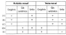 17. As estruturas vegetais floema, esclerênquima, súber, parênquima de reserva e nectário associam-se às seguintes estruturas animais, respectivamente: (A) tecido adiposo _ pele _ tecido ósseo _