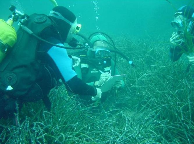 Biodiversidade Entre as diversas iniciativas apoiadas pela SECIL, encontra-se o projecto comunitário Life - Biomares, promovido pelo Centro de Ciências do Mar da Universidade do Algarve, que tem como