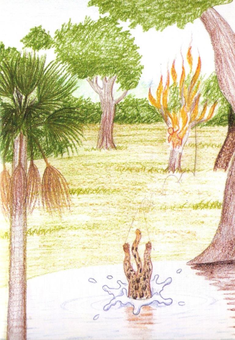146 Figura 15 A onça e o fogo Fonte: FAUSTINO (Ilustrador). In: WAPICHANA, A onça e o fogo, 2012, p. 45.