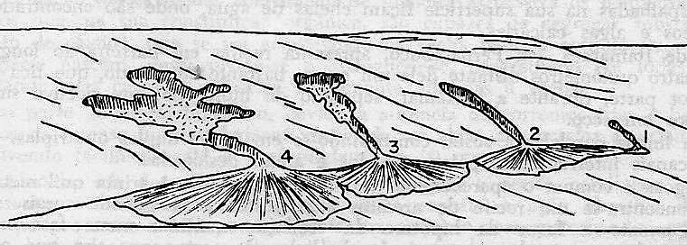 45 Observe a sequência na imagem representada do número 1 ao número 4. (GUERRA, Antônio Teixeira. Novo dicionário geológico-geomorfológico. Rio de Janeiro: Bertrand Brasil, 1997. p. 514.