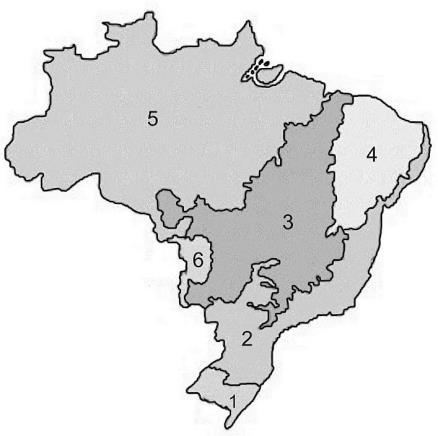 46 O mapa mostra os principais biomas brasileiros. Analise-o. Assinale a alternativa correta conforme as características morfoclimáticas e fitogeográficas.