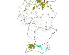 Mamede (cerca de 10 000 ha ardidos) e o Parque Natural da Serra da Estrela (cerca de 9 000 ha) 64.