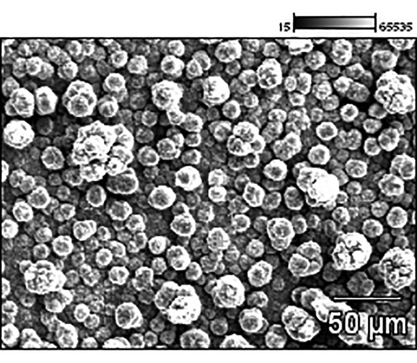 Figure 3. Ni-Zn electrode surface before leaching (a) SEM image and (b) EDX analysis of point 1 and (c) EDX analysis of point 2. Figura 2.