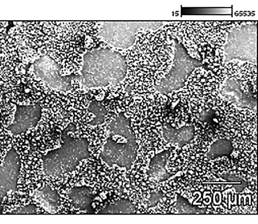 Ni electrode surface (a) SEM image and (b) EDX analysis of point 1. Figura 4.