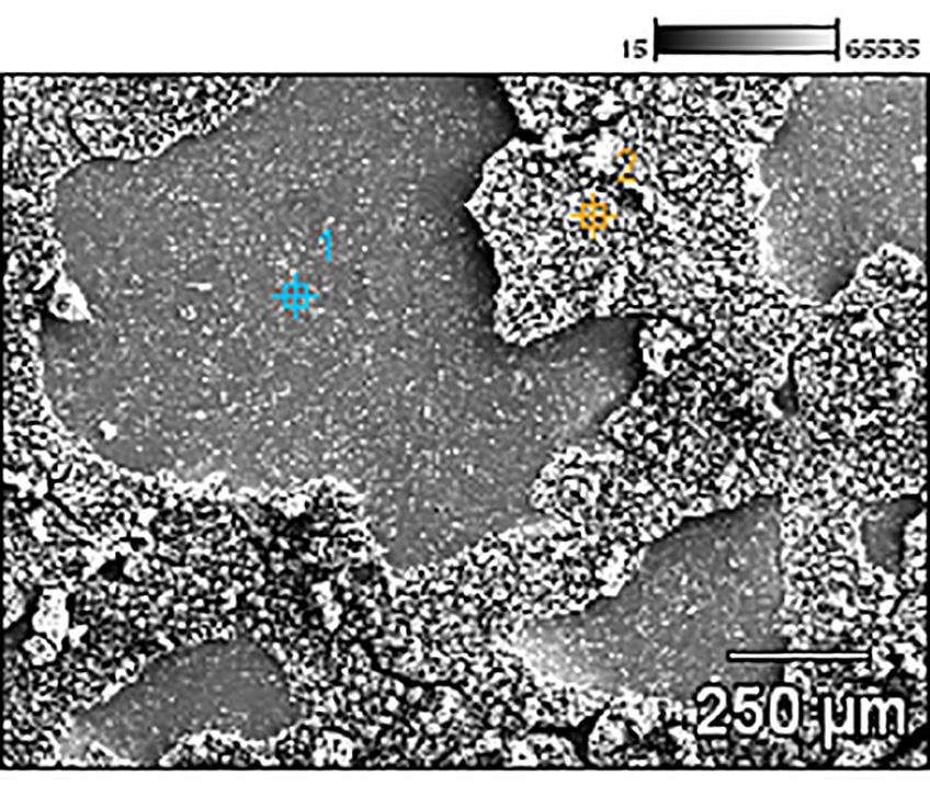 Camila dos Santos Torres, Célia de Fraga Malfatti Figura 6. Curvas de polarização dos eletrodos em KOH 1M com 1mol.L -1 de glicerina. Velocidade de varredura de 5mV.s -1. Figure 6.