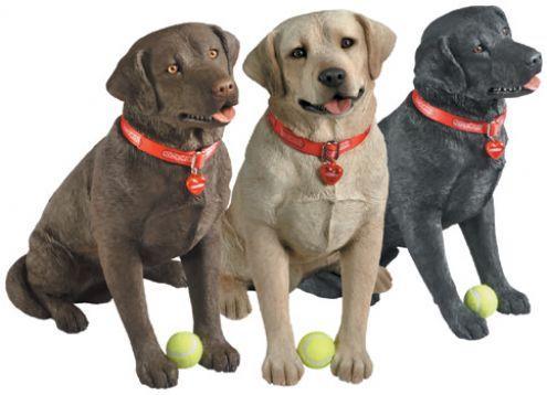 Exercícios 1) Pelagem de cachorros da raça labrador B-D- -> cães pretos; bbd- -> cães marrons; B-dd ou bbdd -> cães dourados Qual a proporção fenotípica esperada do