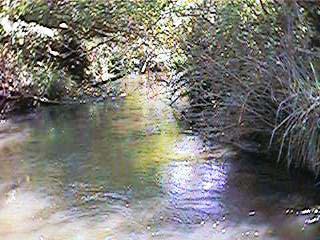 bacia do rio Mogi