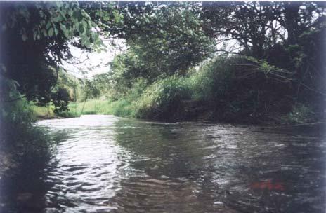 rio Mogi