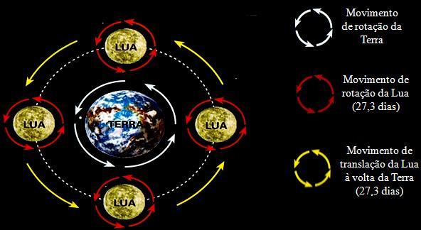 A Lua A Lua é o (único) satélite natural da Terra. Vemo-la brilhar no céu, tão intensamente, porque reflete a luz que recebe do Sol.