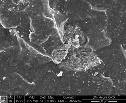MEV micrografias organoargilas (a), argila não modificada (b), composito borracha natural com 10 pcr de organoargila (c), borracha vulcanizada sem