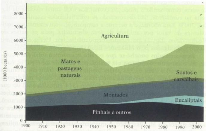 1.ESTADO DA FLORESTA PORTUGUESA 1.1 Uma Fonte de Riqueza 1.2 Factores de Sucesso Durante o século XX, o sector florestal português teve um desempenho surpreendente.
