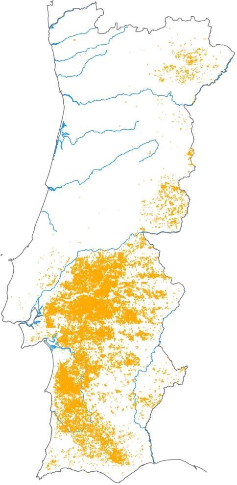 A Distribuição do Montado 1882/1905: 366 000 ha 2010: 737 000 ha