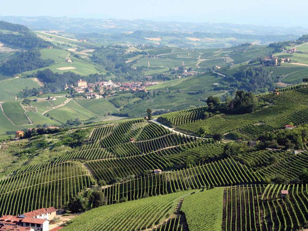 Piemonte Piemonte produz um vinho único, comparável