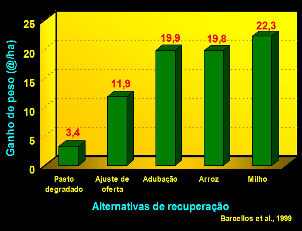 meio de cultivos de milho,