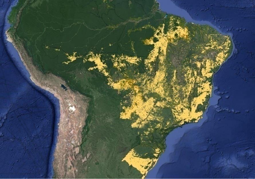 Brasil Área Total Pastagens = 165 Mha 1/3