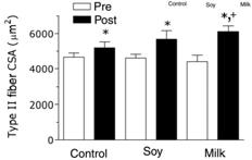 semanas de TCR: 5 x/semana, 8 exercícios, 2-4 séries, 80 % 1 RM  Am J Clin Nutr 2007; 86:373 81.