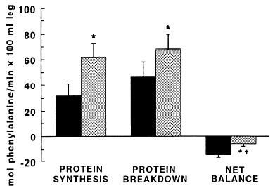 HIPERTROFIA Balanço positivo entre síntese e degradação Alterações no metabolismo protéico provocadas pelo EXERCÍCIO CONTRA-RESISTÊNCIA No estado de JEJUM Síntese (%.