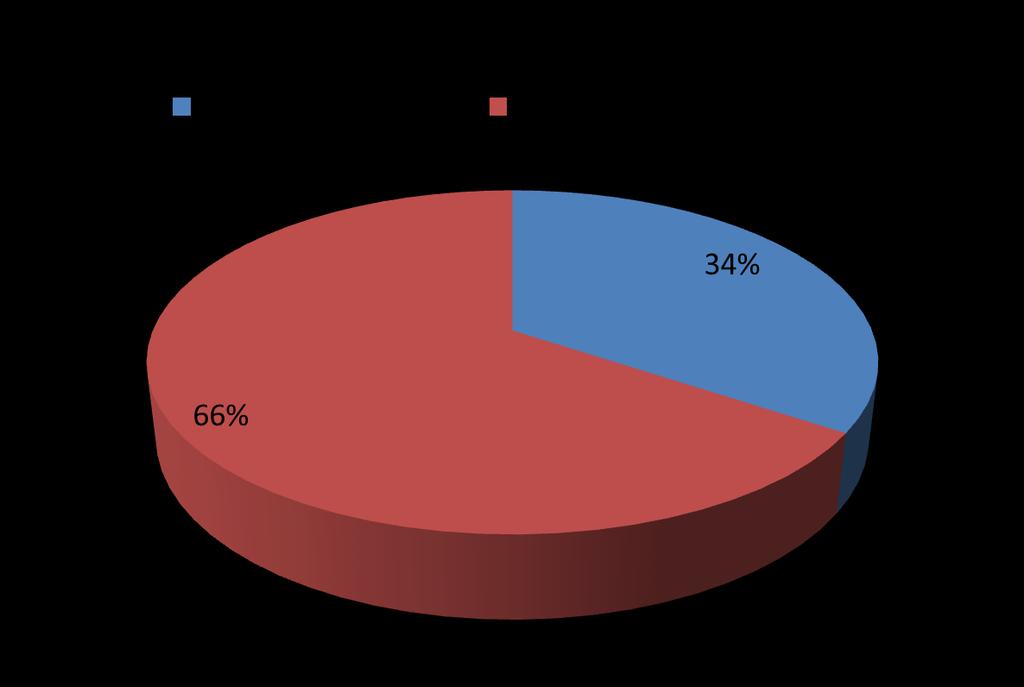 3.3. Topografia de