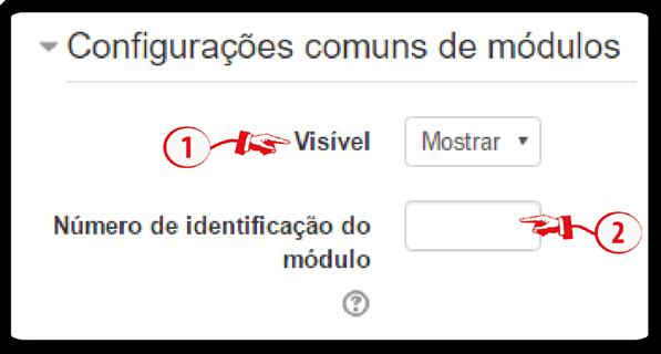 4. Configurações comuns de módulos Essa configuração permite organizar a página em grupos de alunos.