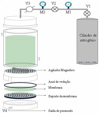 3.2. Caracterização da matéria-prima, alimentação, retido e permeado As matérias-primas, alimentações, retidos e permeados foram caracterizados através de análises de compostos fenólicos, atividade