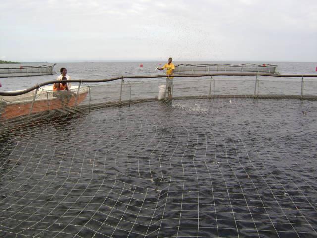 Desenvolvimento de infra-estrutura para Aquacultura.