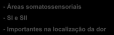 17% em chimpanzés, 7% em cães, 3%